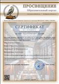 Сертификат о публикации материала на сайте педагогического издания, 2019 год
